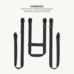 color_common Webbings