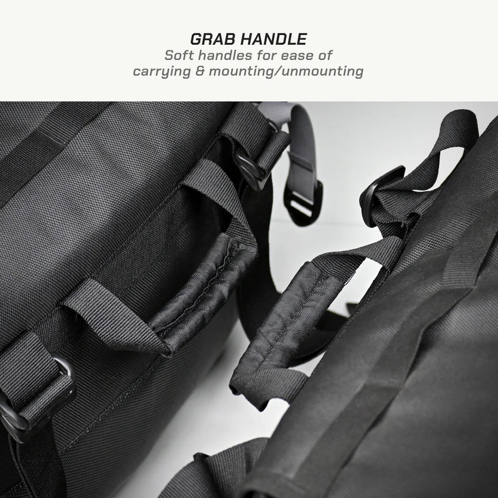 color_common Back Protection