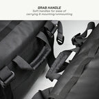 color_common Back Protection