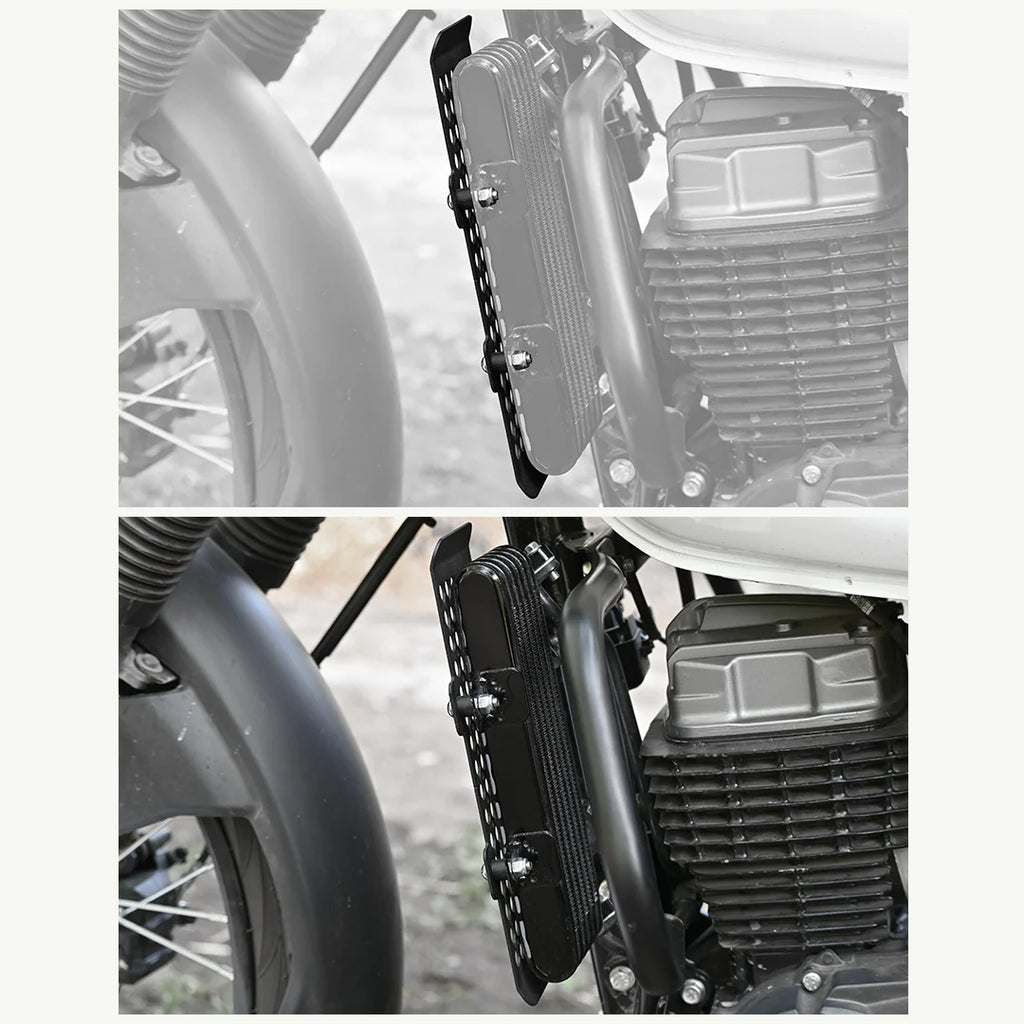 color_common VIATERRA RADIATOR GUARD – HERO X PULSE 2V